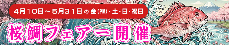 桜鯛フェアー開催
